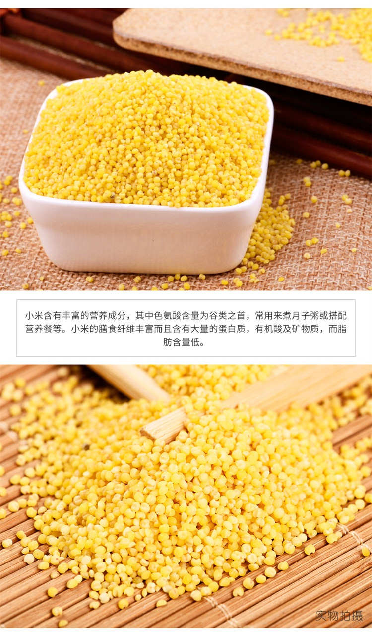 【邮乐 庆阳振兴馆】庆阳环县小米1*500g