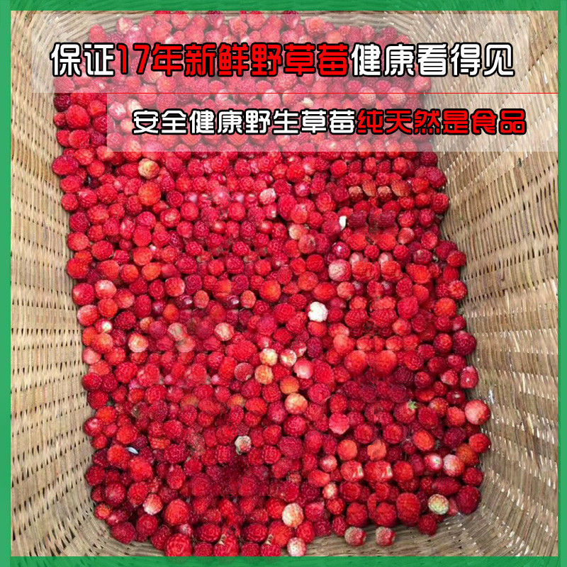 【岷信源】新鲜草莓罐头糖水水果罐头食品烘焙320g*6罐整箱包邮