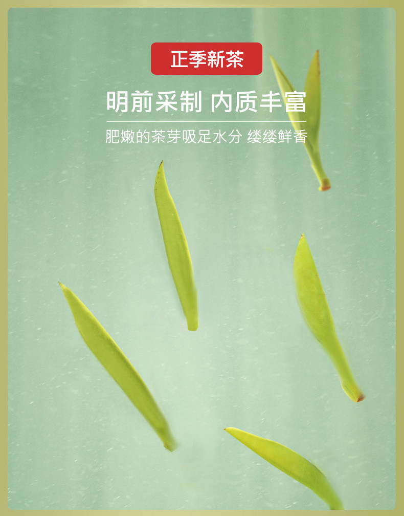 别茶访 英山云雾茶80g*2条装【谷城邮政】