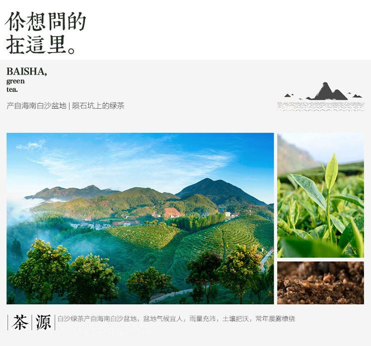 【海南白沙馆】海南白沙绿茶 茶叶 散装 100g 绿茶 罐装 2021年新茶