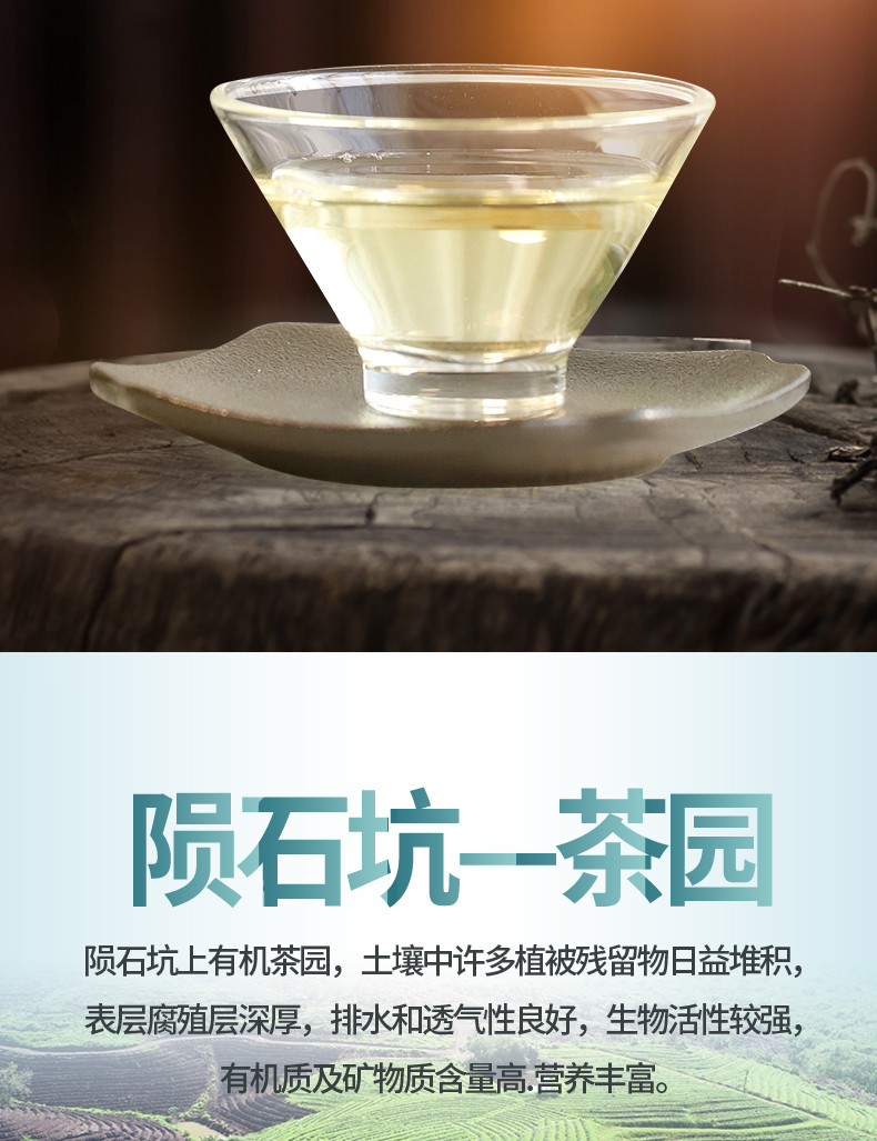 陨坑茶 海南伴手礼  有机绿茶  陨石坑白沙绿茶 50G