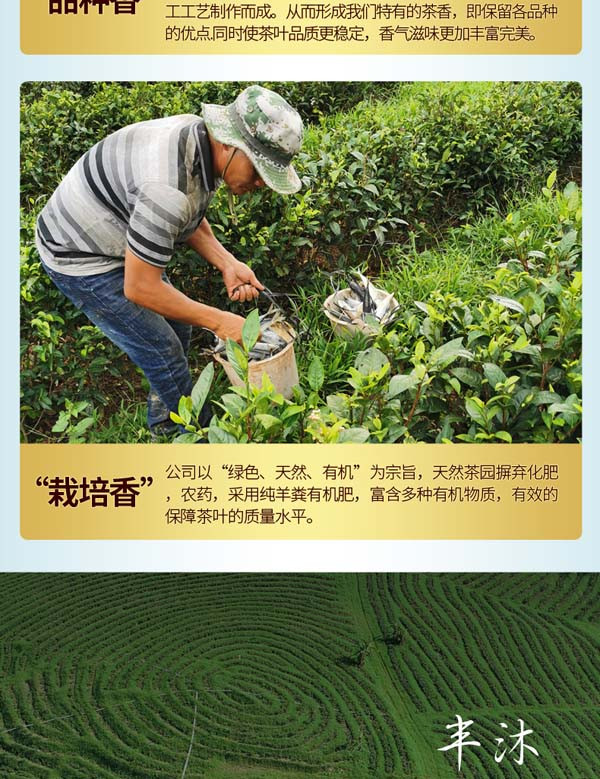 陨坑茶 民族风红茶 白沙红茶  一芽二叶 100G