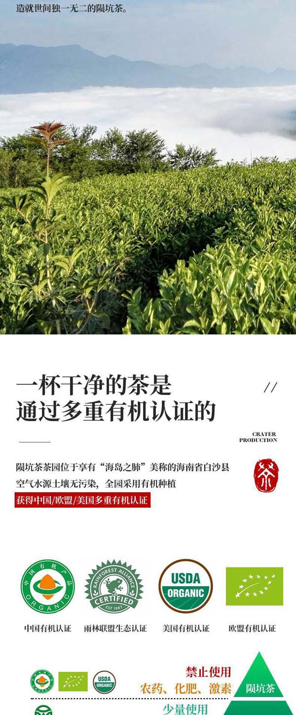 陨坑茶 经典1903红茶100克礼盒