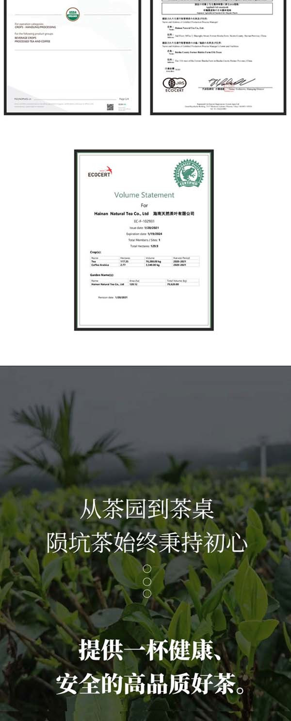 陨坑茶 经典1903绿茶100克礼盒