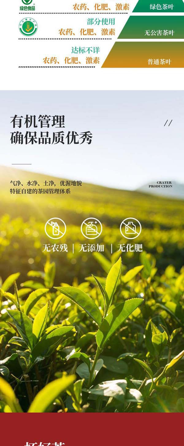 陨坑茶 经典1903红茶100克礼盒