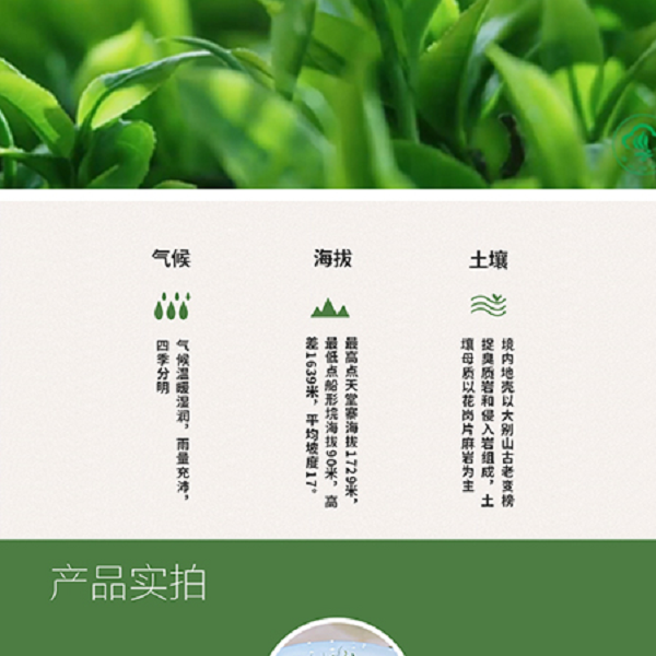 大广 【京山茶叶】英山云雾茶-寻道礼盒75g*