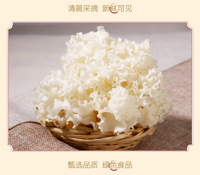 【预售】【闽侯馆】新鲜绣球菌150g 营养菌菇煲汤食材食用菌万菇之王舌尖珍品