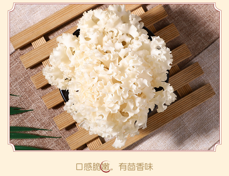 【预售】【闽侯馆】新鲜绣球菌150g 营养菌菇煲汤食材食用菌万菇之王舌尖珍品