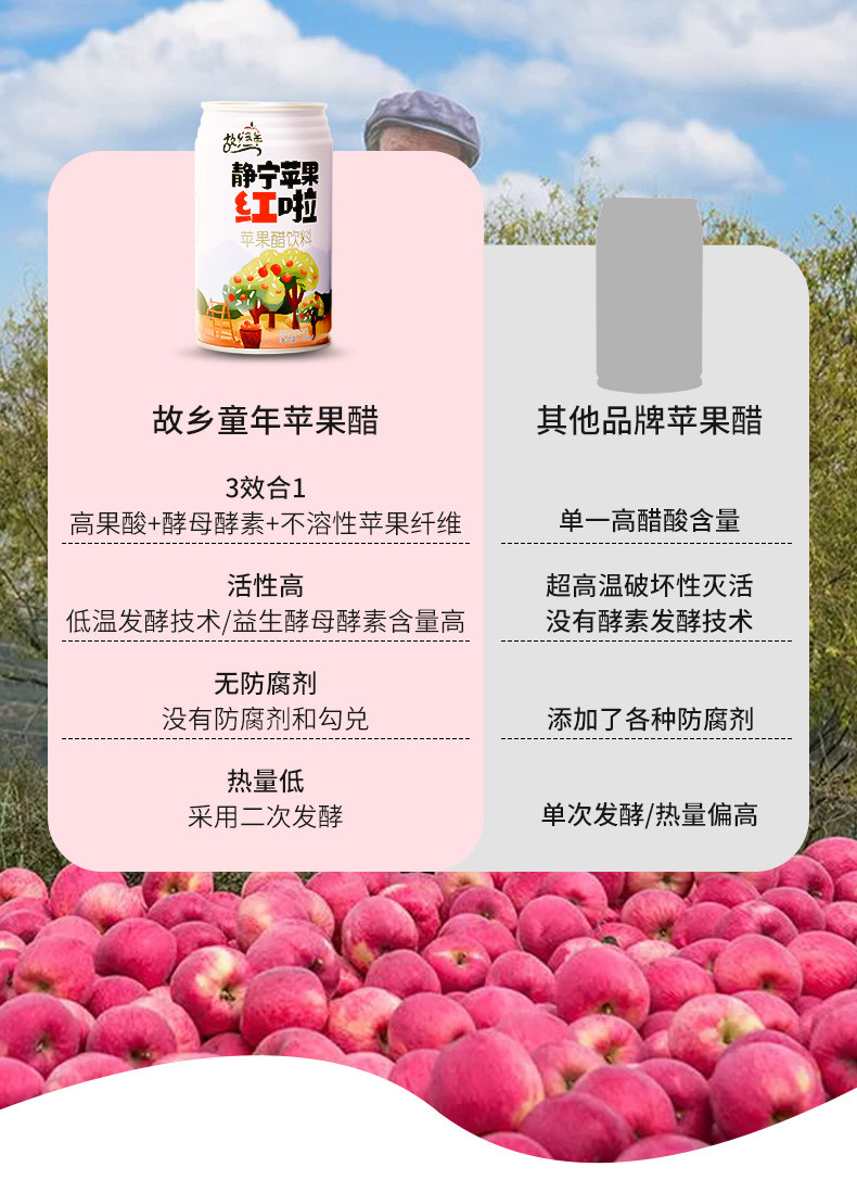 故乡童年 静宁苹果醋310ml*12罐