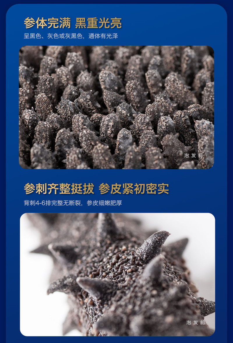 【大连馆】獐子岛 淡干海参/尊享（限量装）100g/盒40-45头 有机海参