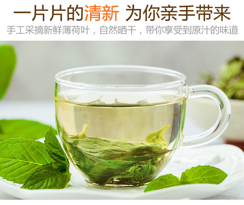 【方家铺子_薄荷叶】薄荷 花茶叶 薄荷叶 休闲 花草茶15g/罐