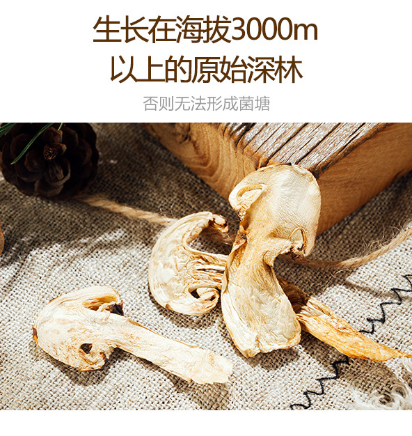 【方家铺子_干松茸】云南普洱市特产松茸菌干货高端菌菇礼盒50g