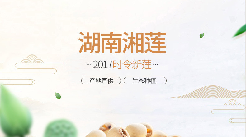 【方家铺子_湘莲】湖南特产湘潭莲子干货去芯 磨皮无芯白莲子500g