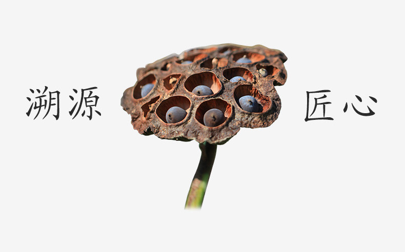 【方家铺子_去芯红莲】福建特产干货莲子去芯红皮莲子寸三莲400g