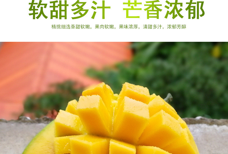 越南甜心芒10斤装 薄核香甜当季进口小青芒水果