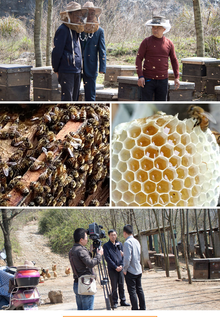 蜂巢密码 土蜂蜜中蜂蜜山花蜜野蜂蜜纯天然农家自产500克