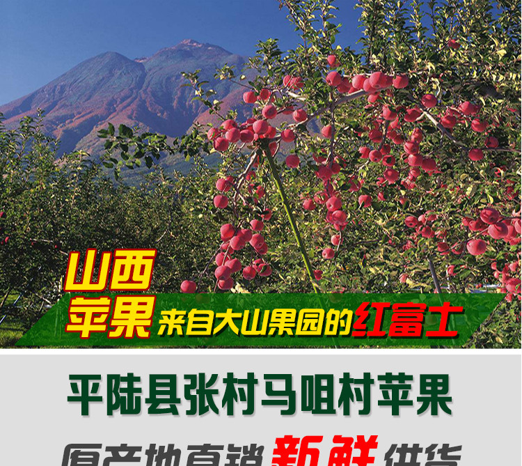 【精准扶贫 平陆馆】中国邮政精准扶贫运城平陆新鲜苹果