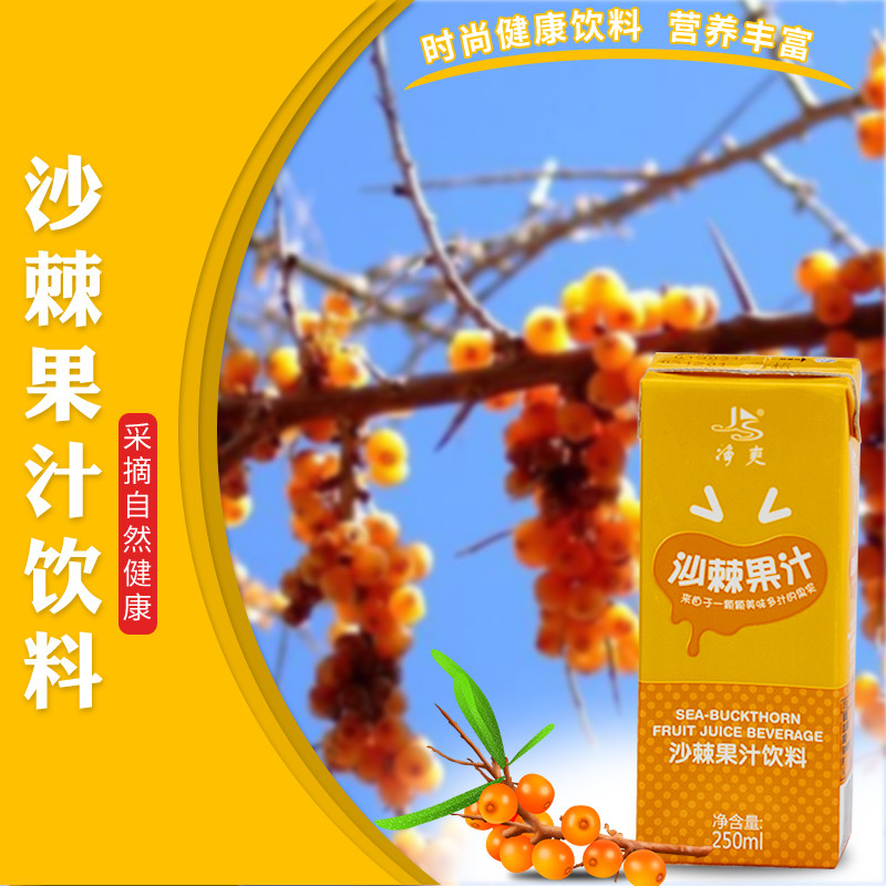 【保德扶贫馆】净爽 沙棘汁 250ml*8 包邮