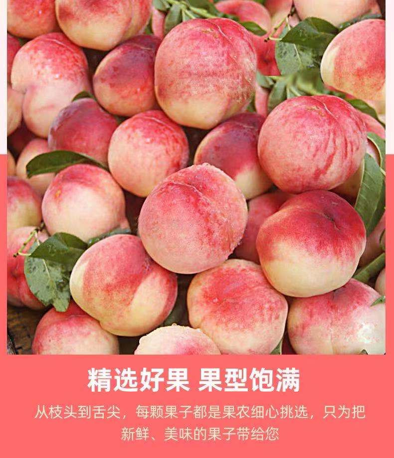 【地理标志】湖南 衡阳  衡山萱洲 当季时令水果 爆甜 3.5斤红脆桃 桃子 血 爱心助农