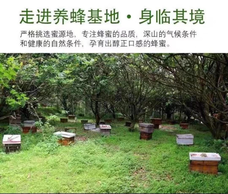寿岳竡花 寿岳衡山深山中华蜂蜜