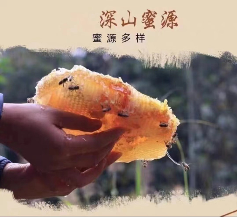 寿岳竡花 寿岳衡山深山中华蜂蜜