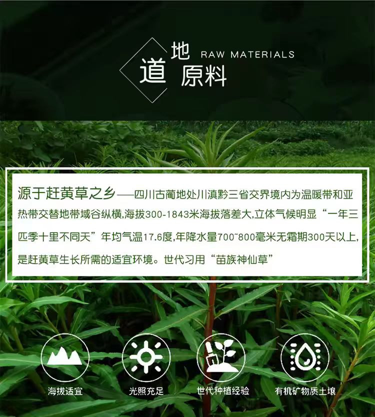 农家自产 【会员享实惠】古蔺黄荆赶黄草花