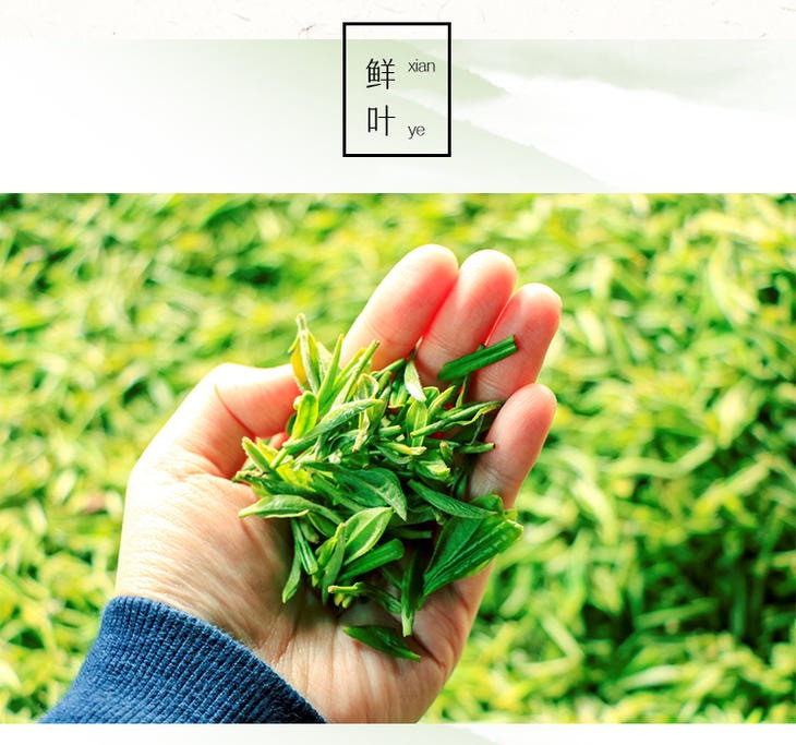 农家自产  雅安蒙顶山名茶甘露（100g/200g/500g）