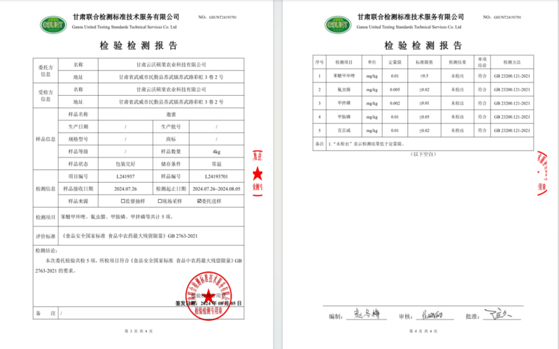 农家自产 迦蜜网纹瓜  2枚装6-7斤    29.9元