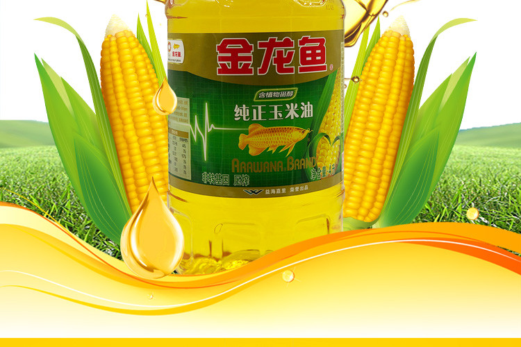 金龙鱼纯正玉米油4L/桶  非转基因 压榨工艺 包邮