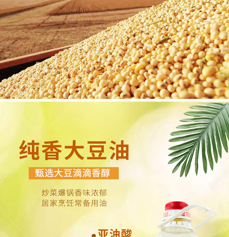 金龙鱼非转基因东北大豆油5L/桶  三级东北纯豆油 家用炒菜