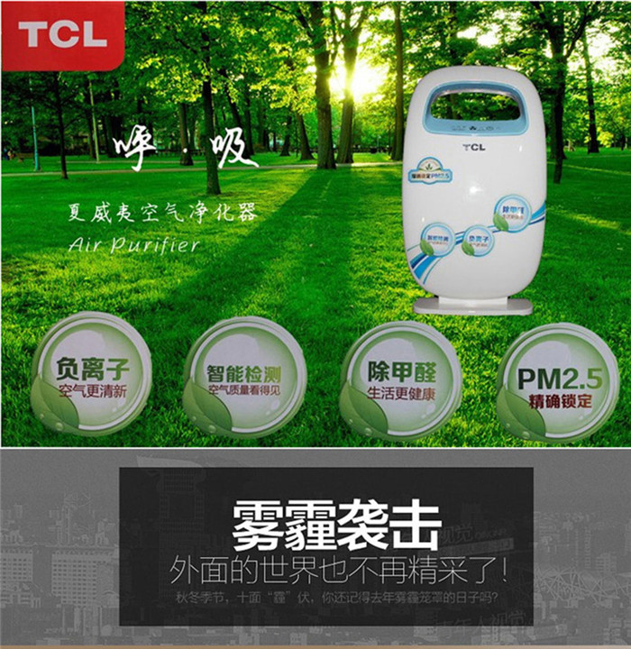 TCL 夏威夷空气净化器 TKJ-F08A