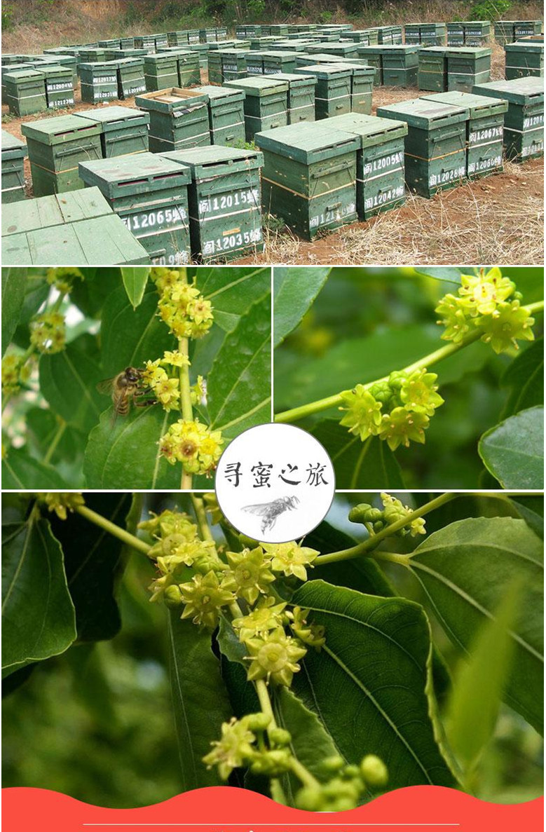 众天 【出口品质】众天枣花蜂蜜土蜂蜜 500g 枣花蜂蜜