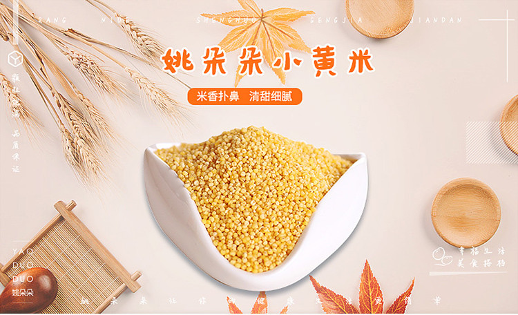 姚朵朵 黄小米350g 新米月子小米 五谷杂粮