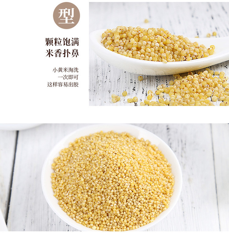 姚朵朵 黄小米350g*3 新米月子小米 五谷杂粮 粗粮生活