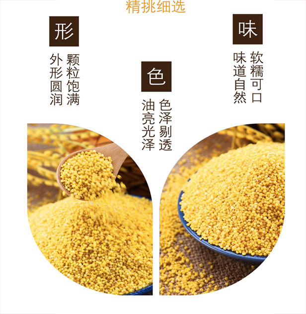 【阳高县馆】山西特产 广灵小米500g