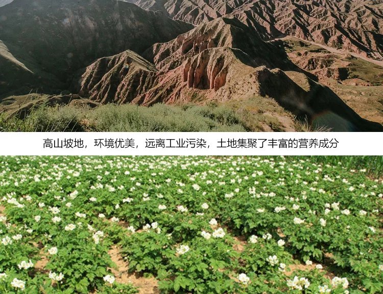 【邮乐 临夏馆】东乡“奋豆”洋芋5斤包邮，十年九旱就是这么好吃！（部分地区不发货）