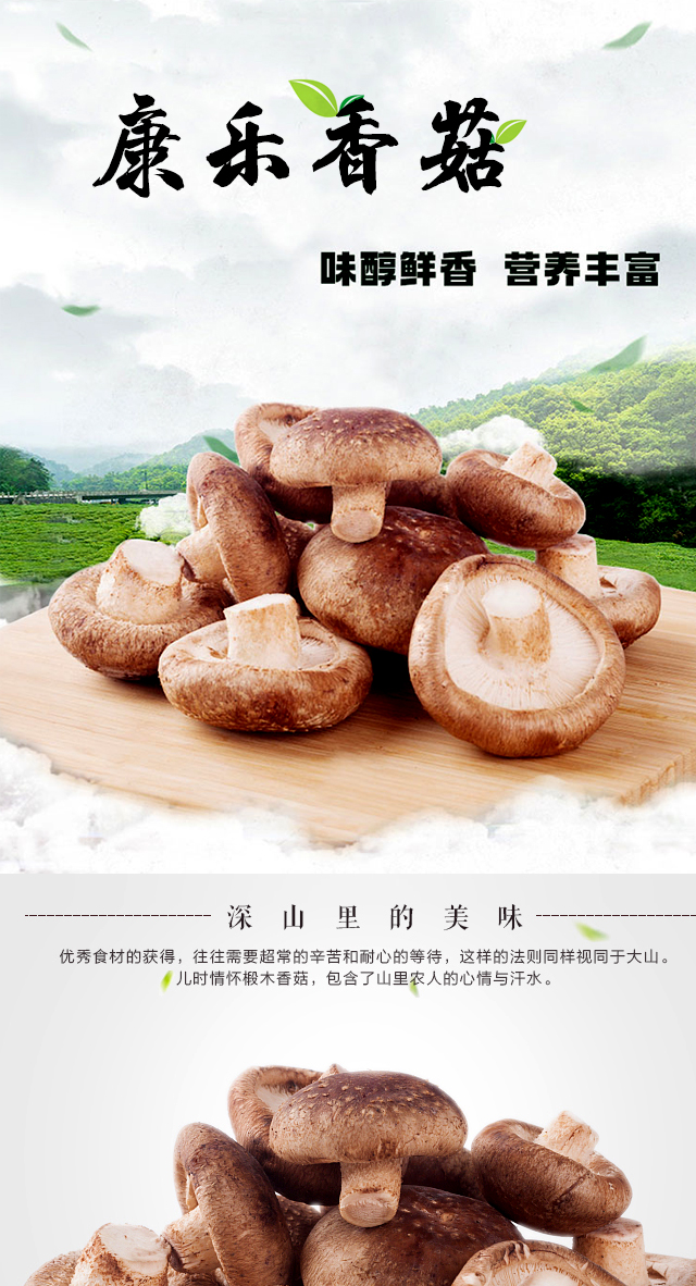 农家自产 【康乐振兴馆】康景鲜香菇 1kg  (甘肃省内专拍)