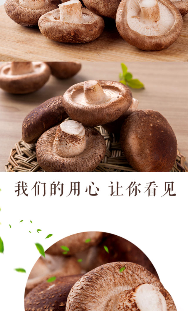 农家自产 【康乐振兴馆】康景鲜香菇 1kg  (甘肃省内专拍)