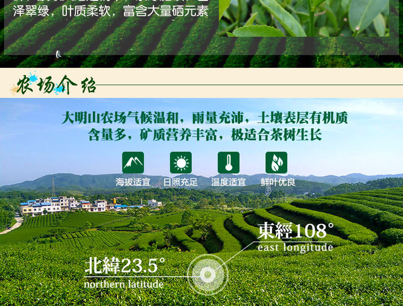 【12月12日10点限时开抢】上林特产大明山金萱红茶一级红茶100g/袋【领劵11.8元】包邮