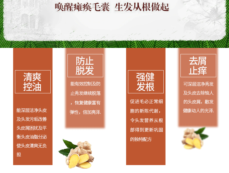 厦门馆  小琳家族生姜滋润洗发水200ml/瓶