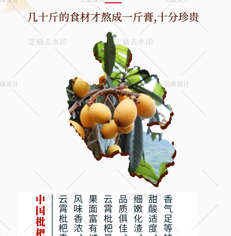 【厦门馆】云霄特产云霄枇杷膏250g化痰止咳润肺