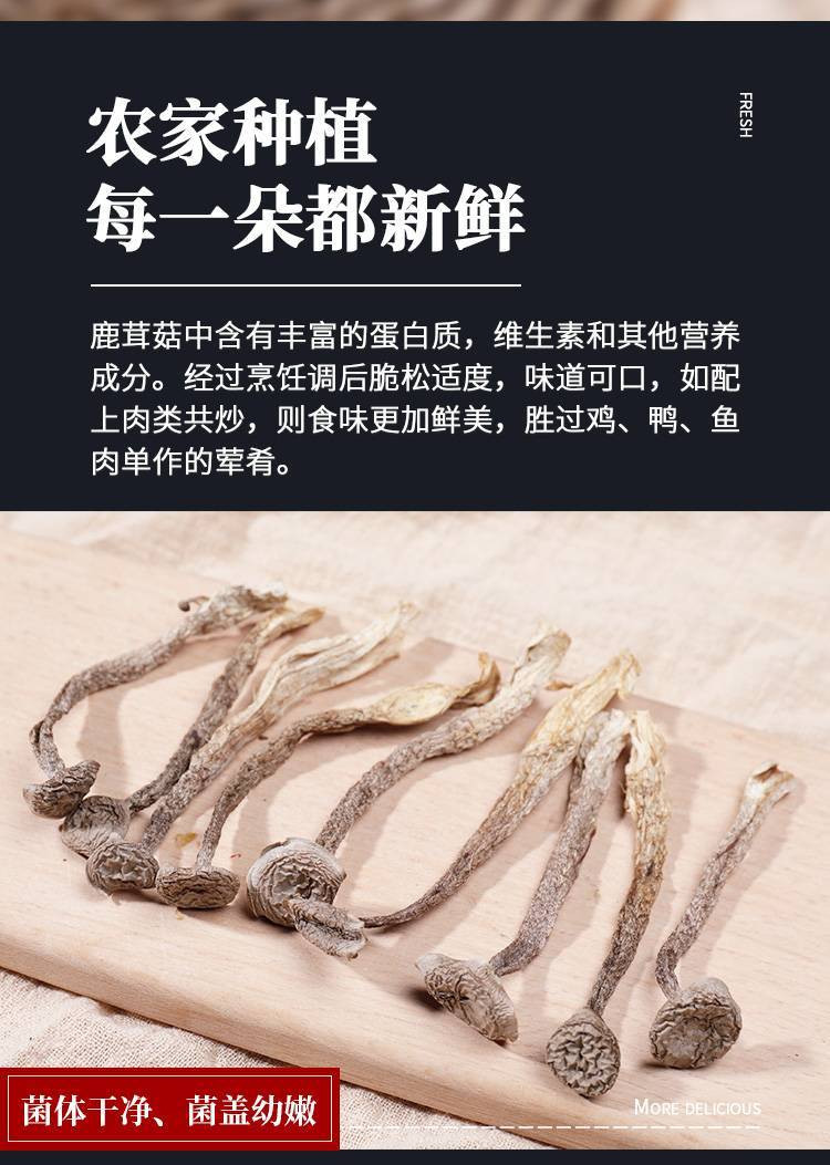 【厦门馆】鹿（茸）菇干货200g 干净营养，味道浓郁，炖汤搭档，口感脆嫩