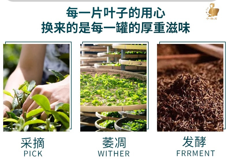 半春茗 【厦门馆】大头罐小罐茶叶50g