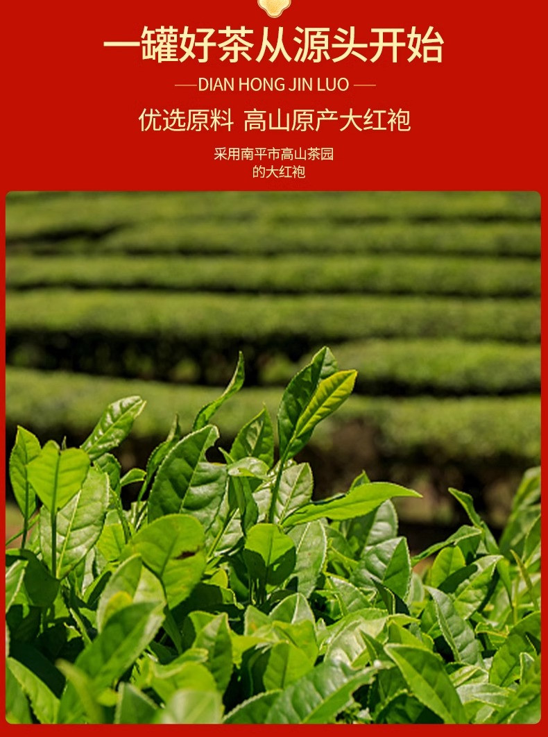 半春茗 【厦门馆】正品大红袍茶叶高山岩茶乌龙茶2024新茶