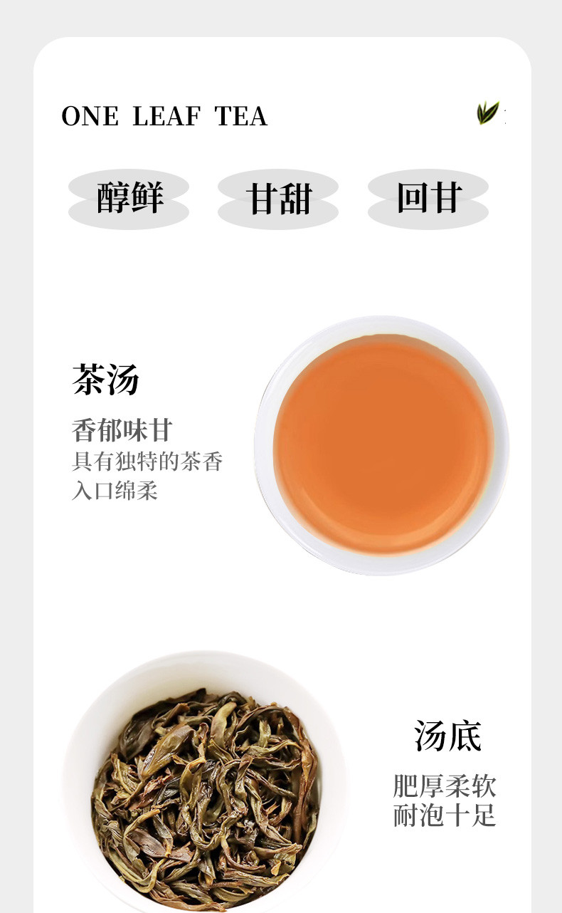 半春茗 小罐装鸭屎香凤凰单枞茶叶蜜兰香茶叶新茶单丛乌龙茶