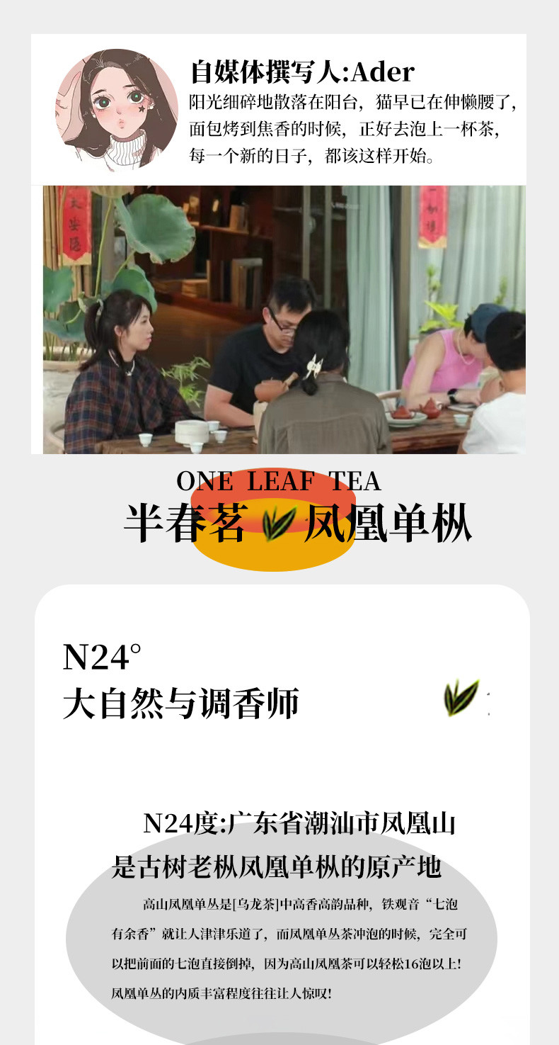 半春茗 小罐装鸭屎香凤凰单枞茶叶蜜兰香茶叶新茶单丛乌龙茶