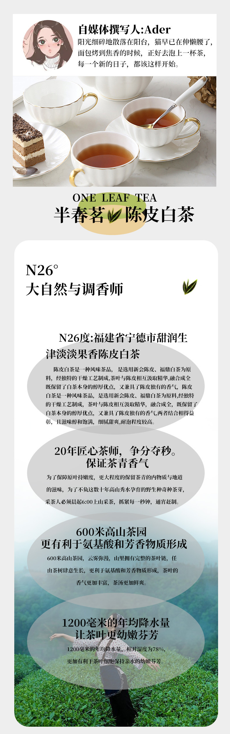 半春茗 福鼎陈皮白茶新会小圆饼茶饼正品老白茶贡眉寿眉茶叶