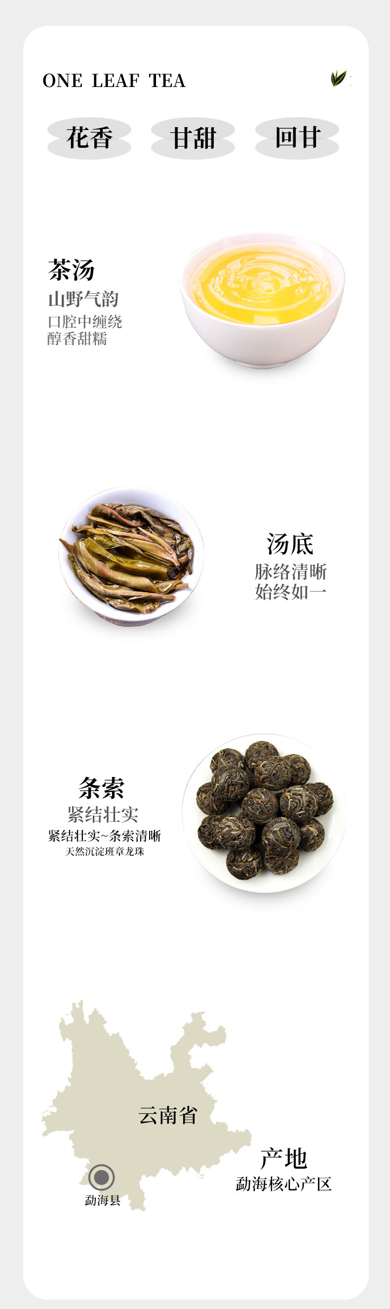 半春茗 小罐生茶老班章龙珠云南普洱茶生普古树小沱茶茶叶