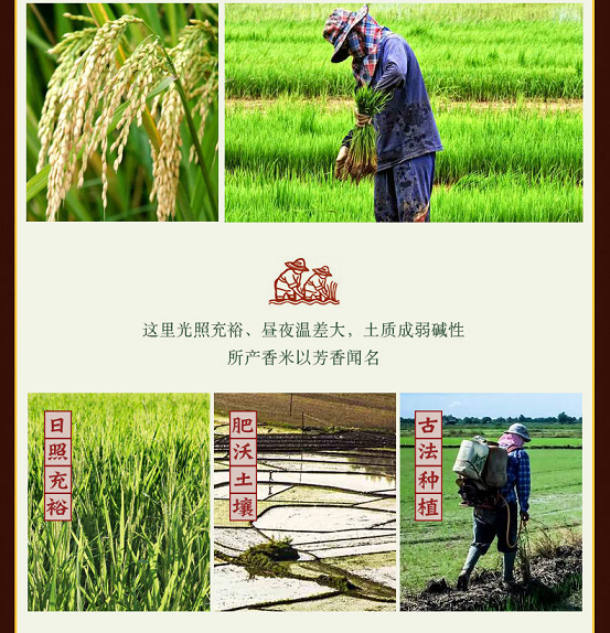 拉玛贡 茉莉香米