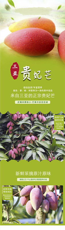 【 刚察馆】三亚芒果（开合精品贵妃芒）  108元/箱 8斤装包邮